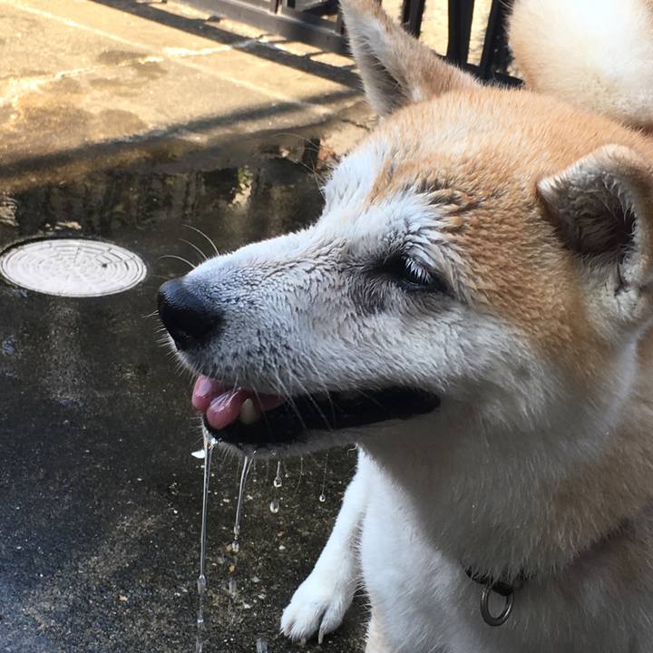 D51fa2a8 37b4 4eb9 9ddc 5fd1afbf712b