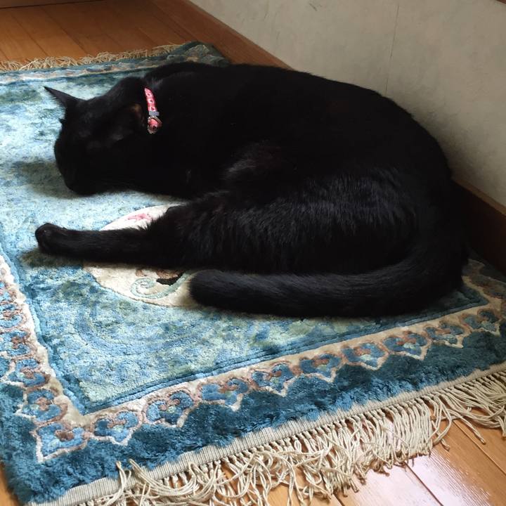 D51fb9c3 b5cd 460b b755 125f2379d844