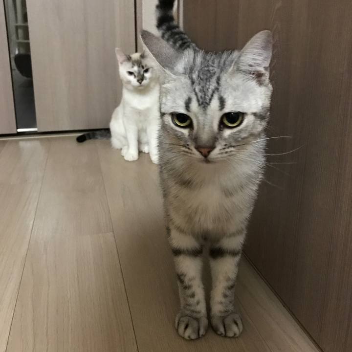 D520294a b5f7 4005 91ef ca5f20615508