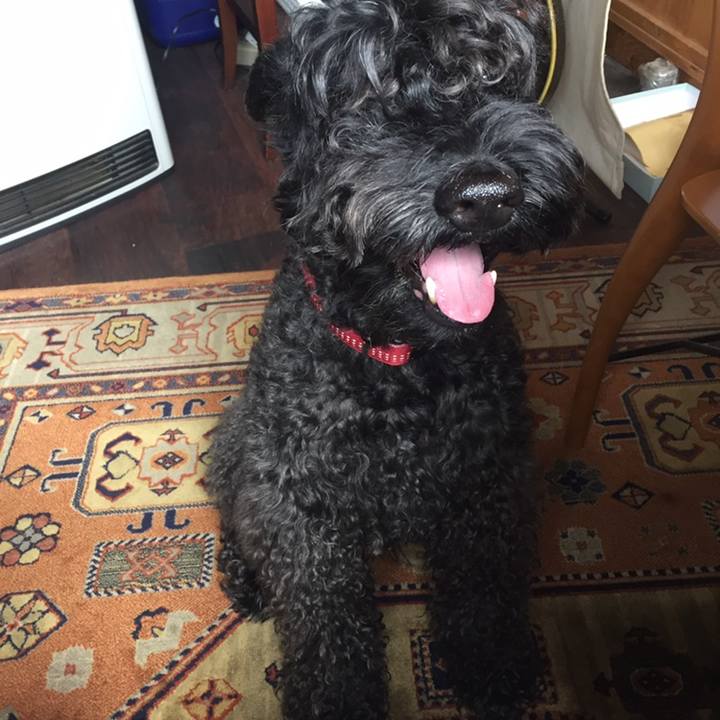 D520fca8 63f7 4c58 9919 249cb5493958