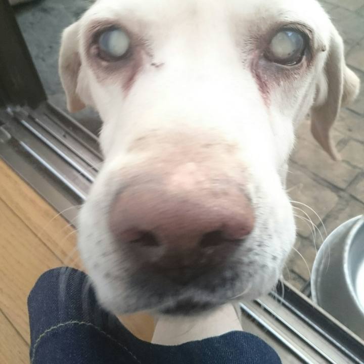 D5214fe7 9c3f 48f8 9dca 0864d7b4c10a