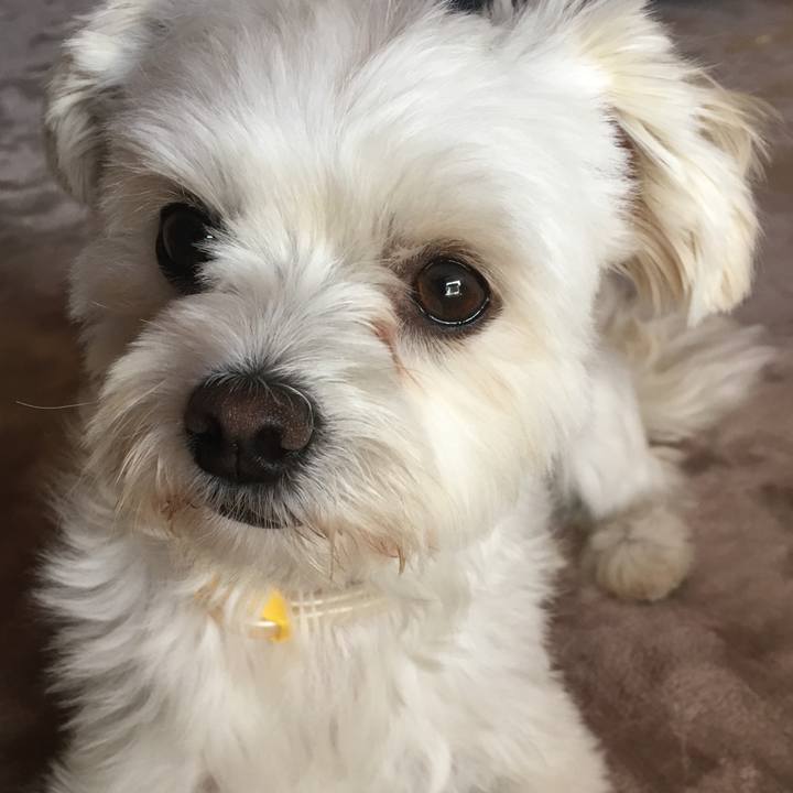 D521dff0 2033 46ce 9cc3 8fbe12ec271b