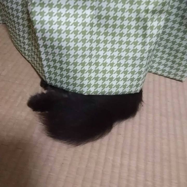 D522119c eb73 4848 a4f0 242949868040