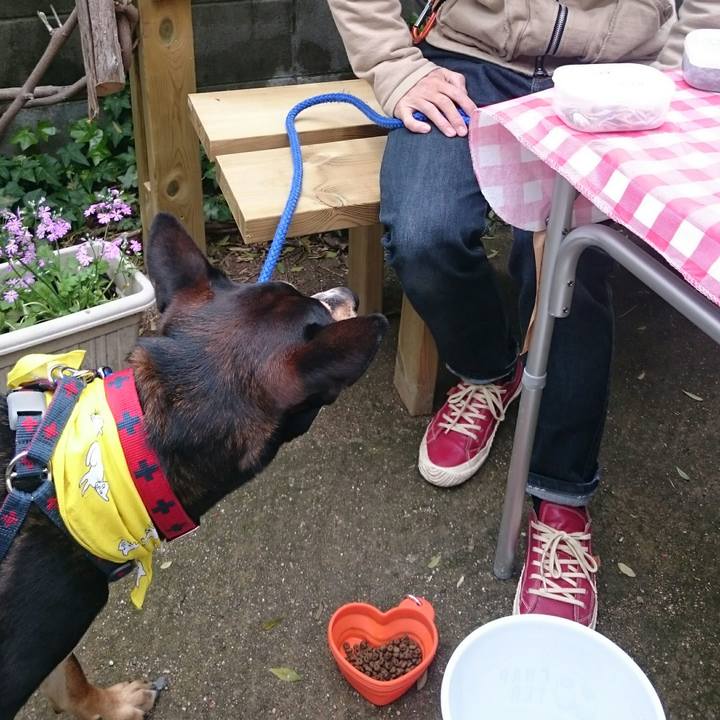 D522be8d 4a98 4186 85d7 b6ceacab59ae