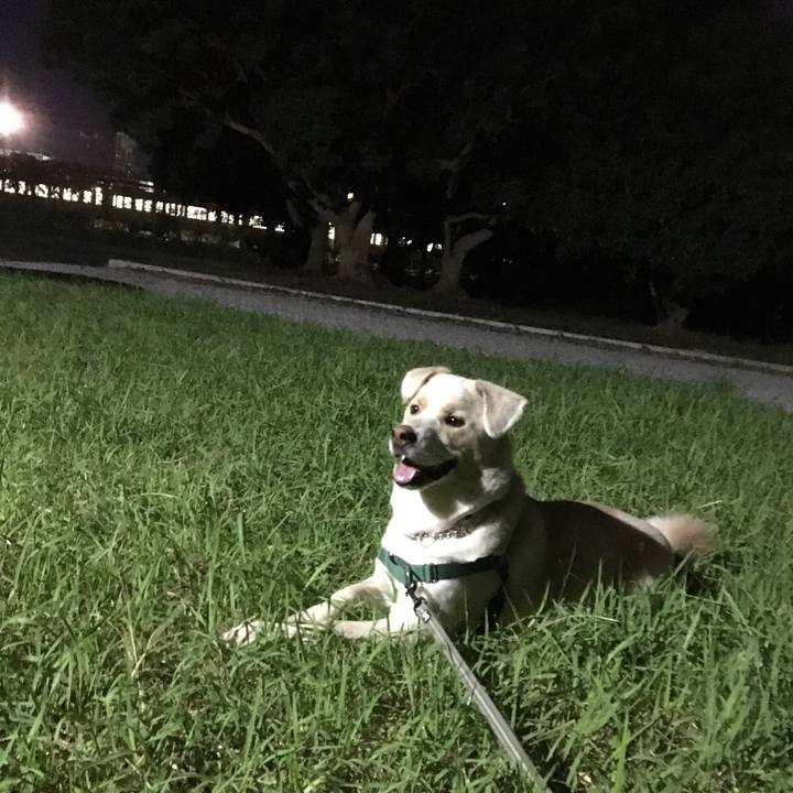 D522d4bb 3446 4971 94f0 77493226915a