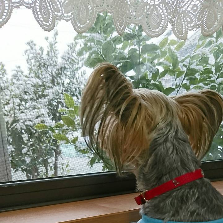 D522e1cf fc8e 420c a436 e0573d50edf1