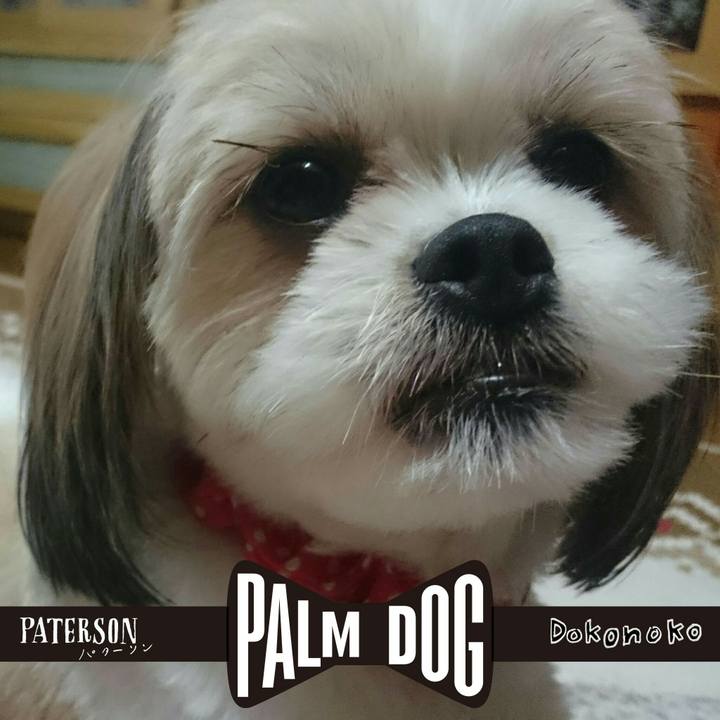 D5230919 57d6 4941 a356 124b5f377b92