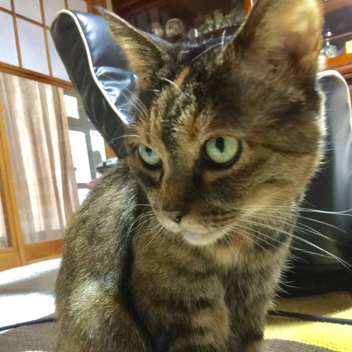 D5230bd6 c702 4165 a249 0458e3e1b8cd