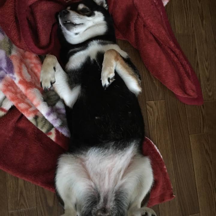 D52320eb 3e4a 4ace 96fc 1e46a1c4a63b