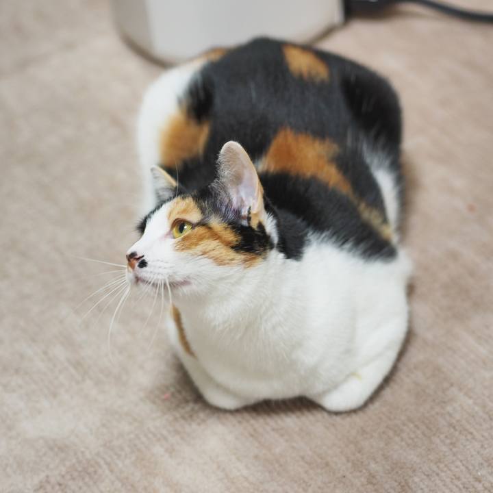 D523c2ad 516a 4c06 916d 76ba18e7106b