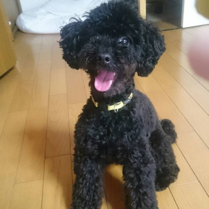 D523d554 50c4 40f4 b44f 90af2426e3e5