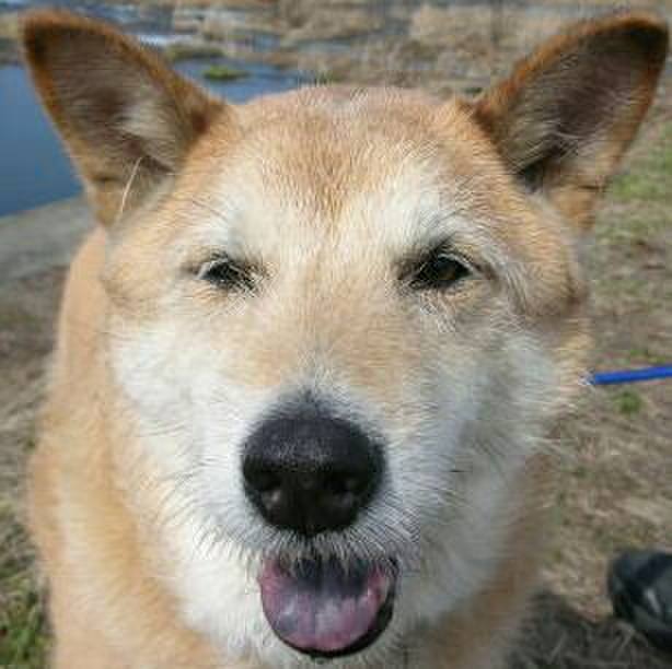 D524262d b84c 4acb a5dc a9b55cc95f33