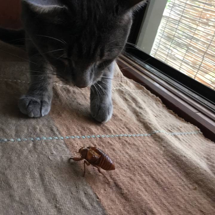 D5244689 90a3 42c0 84e9 6fb21fd39f3c