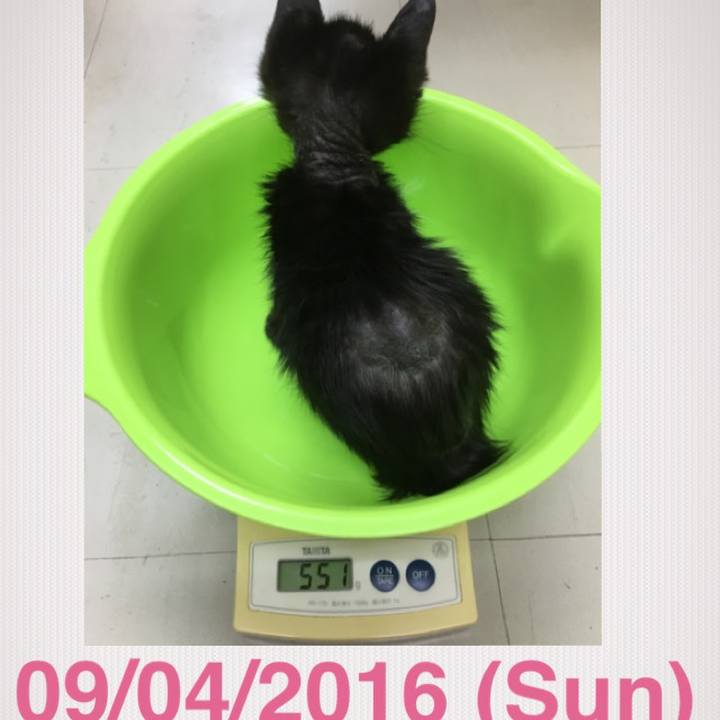 D5246576 5f62 4e37 9e60 95f0e1c08117