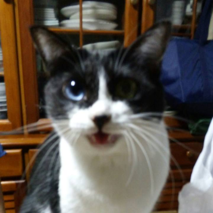 D5246a00 0f57 4c8e 919a 5ba582d668fc