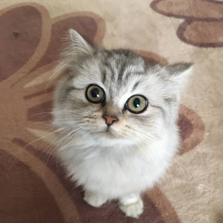 D524f523 ecc8 464d 90df bf4123433f06