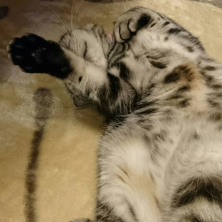 D525719d f9aa 4794 a8e1 9bd6b611df44