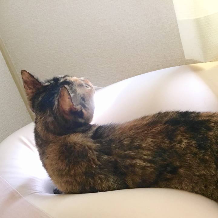 D5261056 884a 4ba0 818b 1892faec39c4