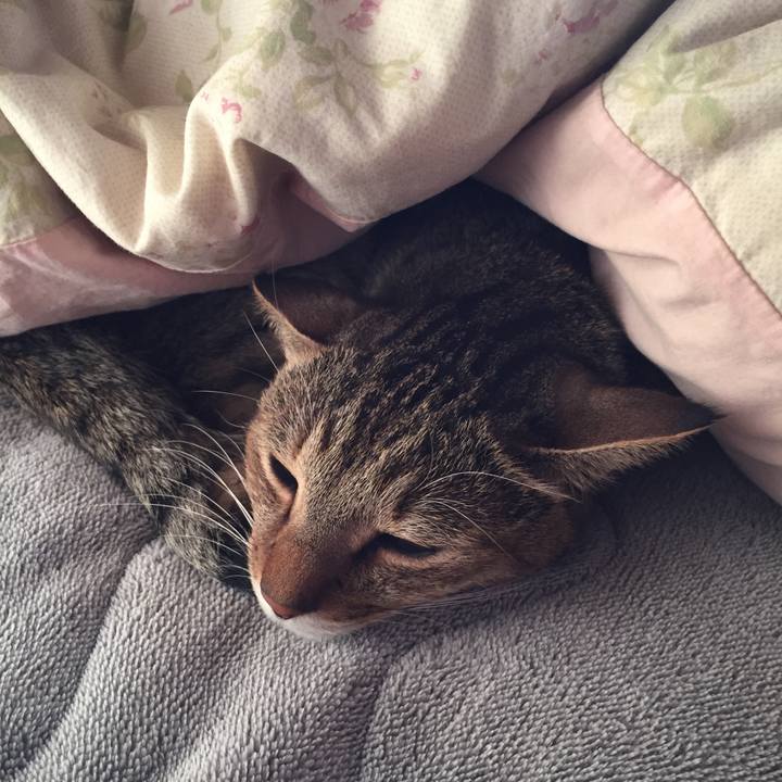 D52683b0 d171 4f02 9c2d 21e487543e1b