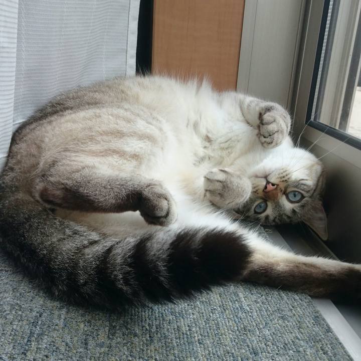 D5276321 bc08 405e abaa 4c27ddcc86b0