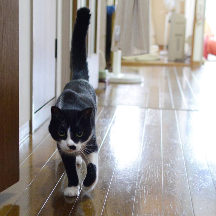 D5278bd8 7925 4246 afb4 68a3d4dea009