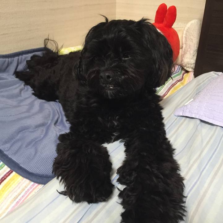 D52796b2 e6b2 49d5 bcd0 3de50e4869bb