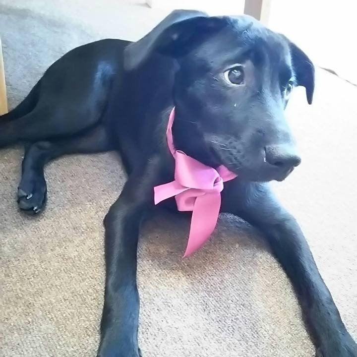 D527d063 023a 4d3c a950 2b31a514893c