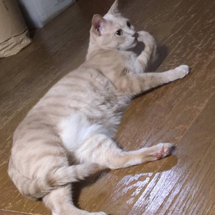 D5280799 c752 4de9 8c1f cc96e6204e70