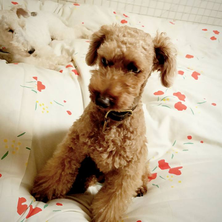 D528141a 769c 45fe b19e d8d392d45328