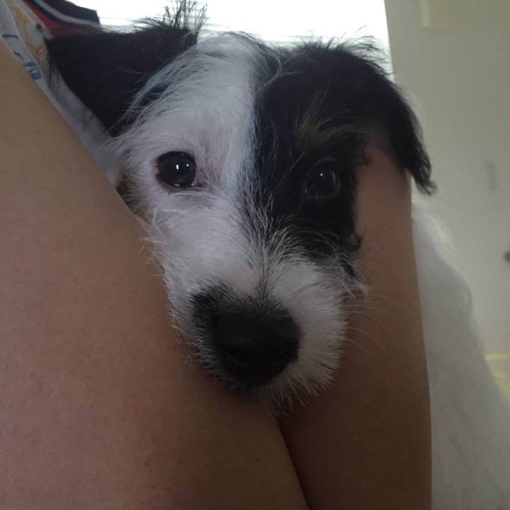 D528eb15 4b60 4e33 8fe8 3bab2558d91c