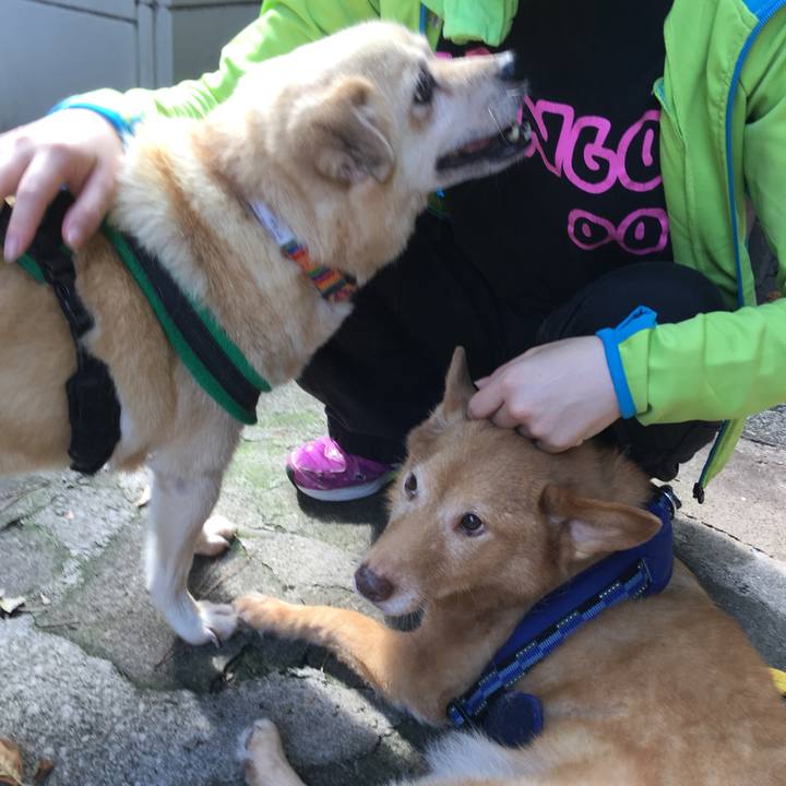 D528f1c7 a34b 4c45 9acc d66af1a79c91