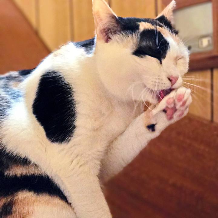 D529439f 2463 471a 835e b3221873a8d9