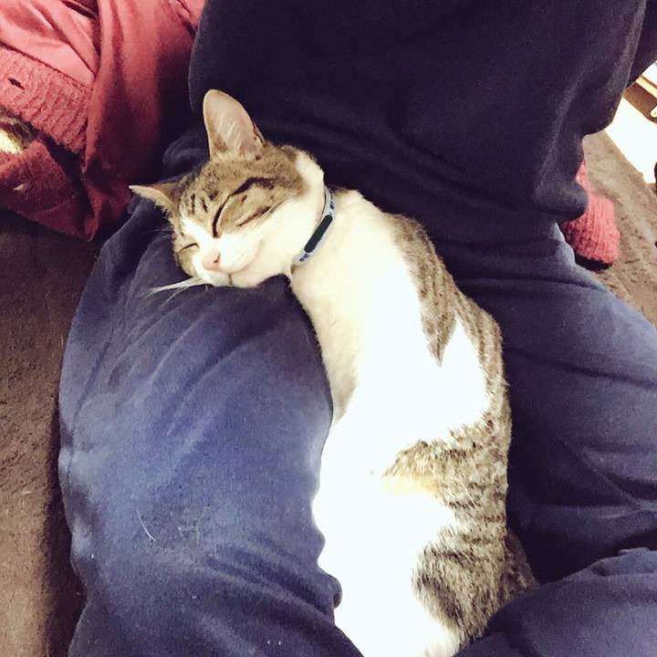 D5298e1a 4792 48dc 9c06 edea64184118