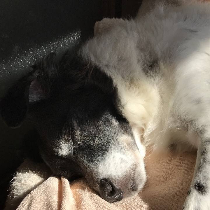 D52997e2 b7a7 4409 a09a 4e081f601275