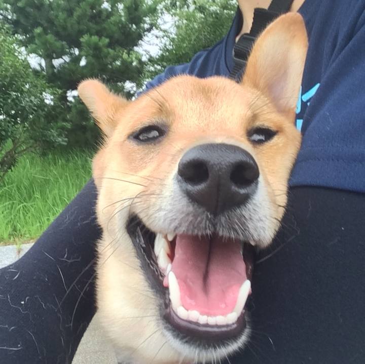 D529b96e 35d6 41af be81 8e4f0264efd1