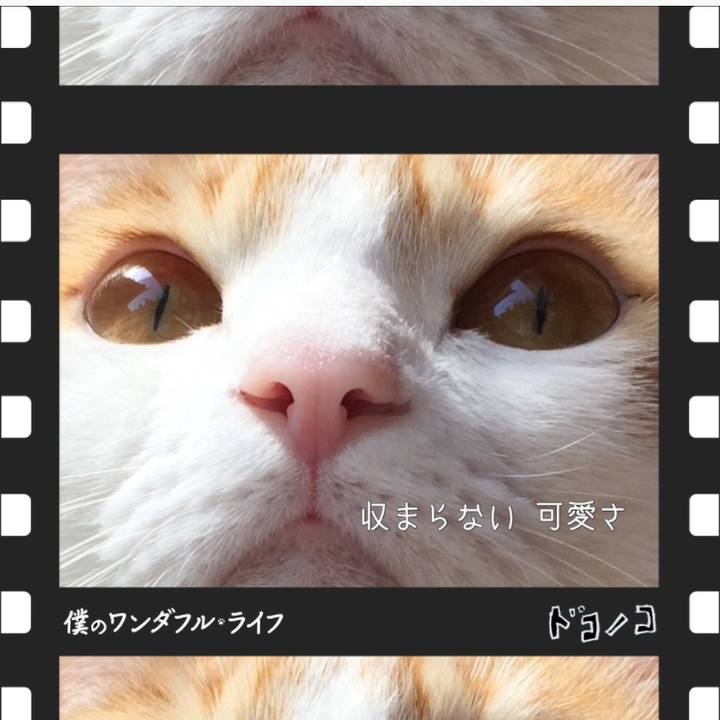 D529f88d 075e 42d3 bb57 55d7c887c8a1