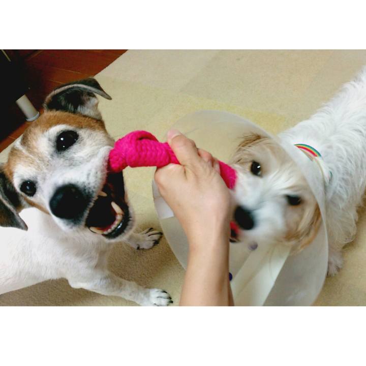 D52a0911 23c5 46cc bd34 d7979c57a93b