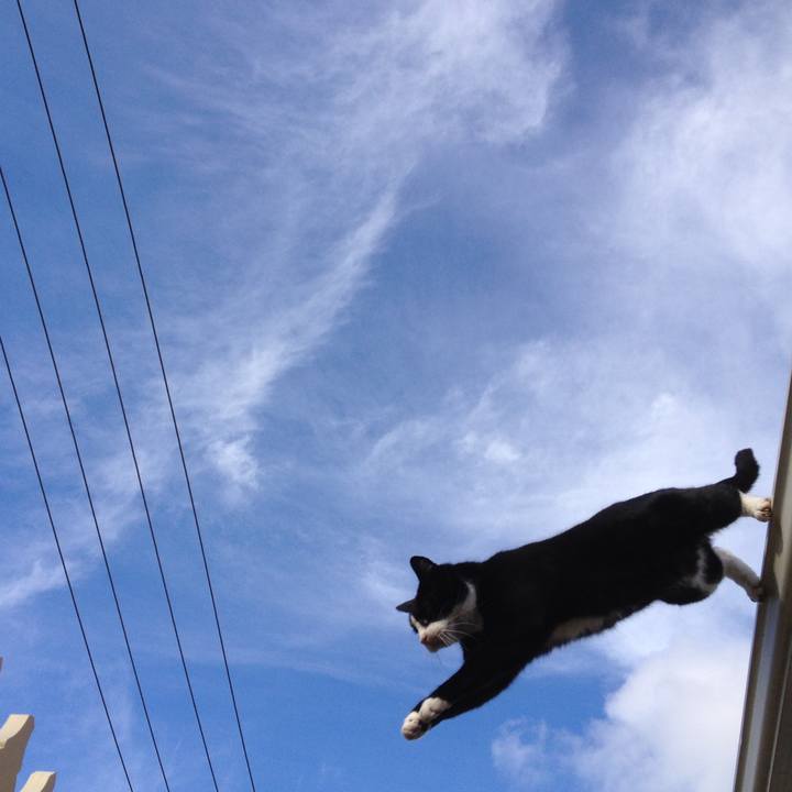 D52a5c47 20cc 4012 a3a5 db98614832d7