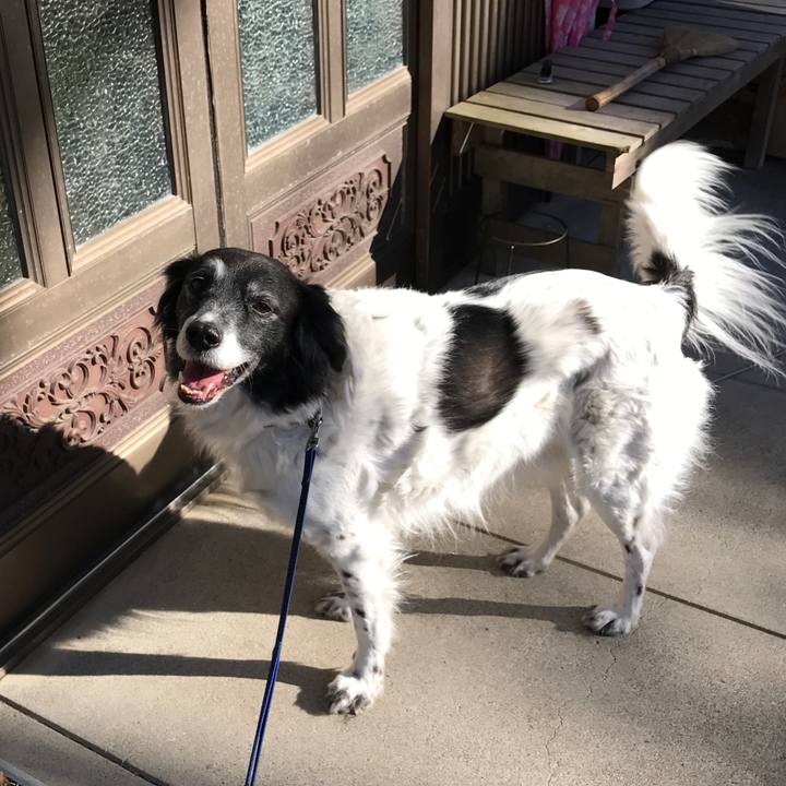 D52a7249 287a 40d8 a317 5df693778f9d