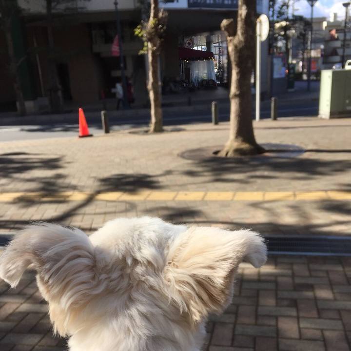 D52adb27 f400 45b8 bf76 f462434e1434