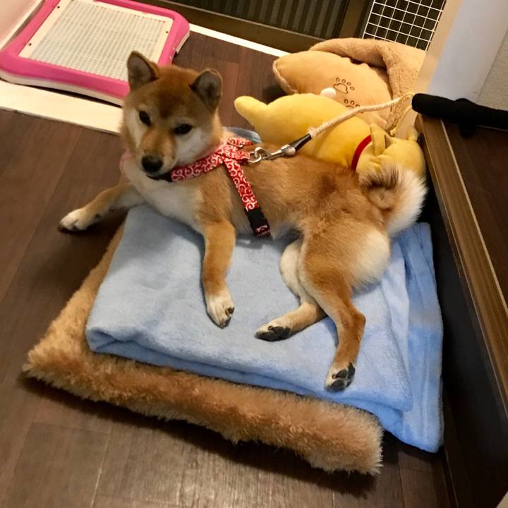 D52b4832 1765 4f0d a5f6 bfdaa22e2560