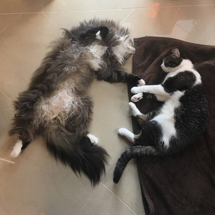 D52bbb4e 4ad6 4d9a a1bb a36934582de2