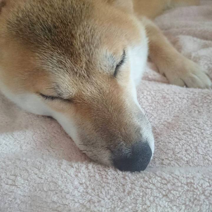 D52c7121 b543 4da4 9ac8 30888f63c790