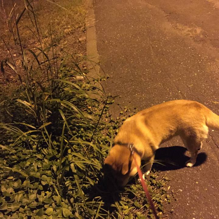 D52cac11 65d7 42f9 822e 1866065cb18e