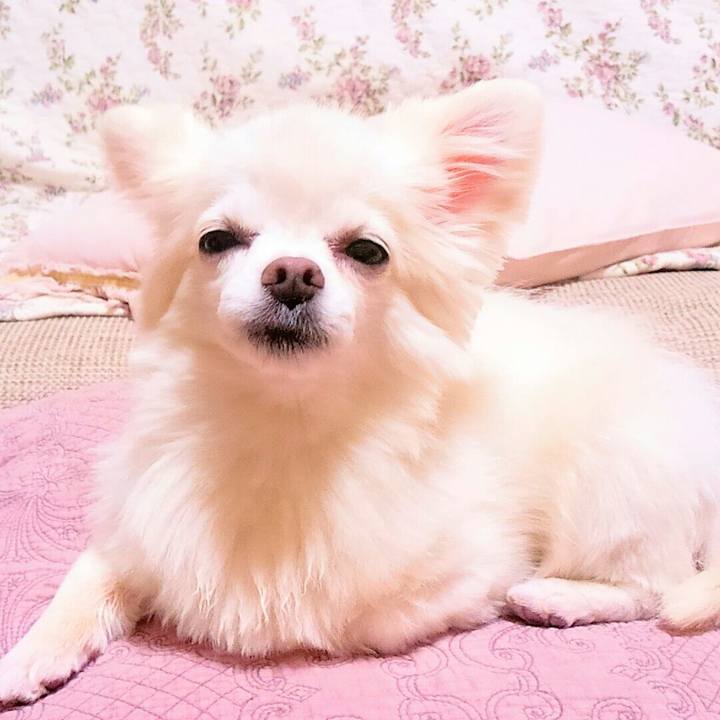 D52cc8a8 9bd9 4ed8 9ab3 901161d6d17e