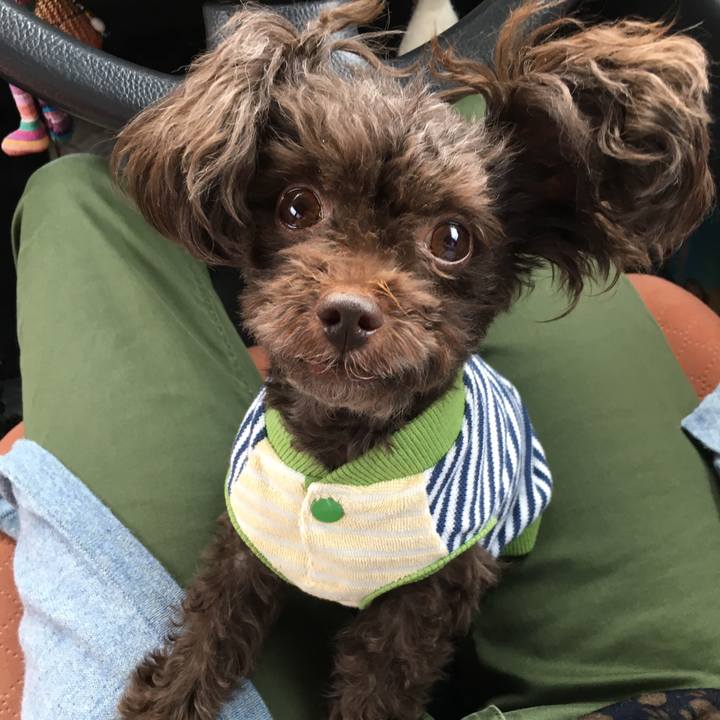 D52cf320 68bb 469f 8656 70030d24642f