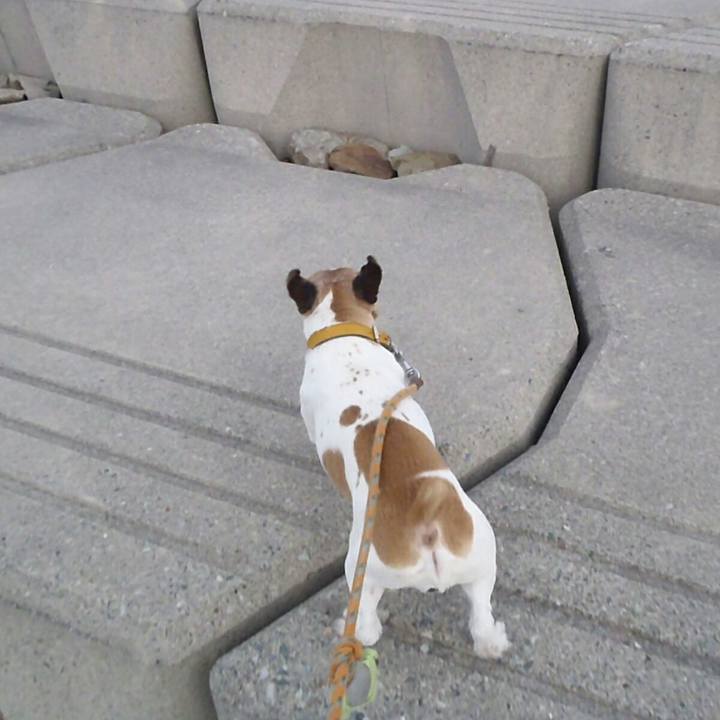 D52d3a8d 7a74 4207 8644 e5706c6377a8