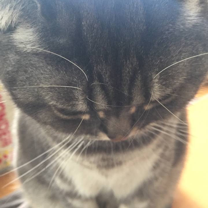 D52d5714 9140 4167 99f5 2058a25a2a38