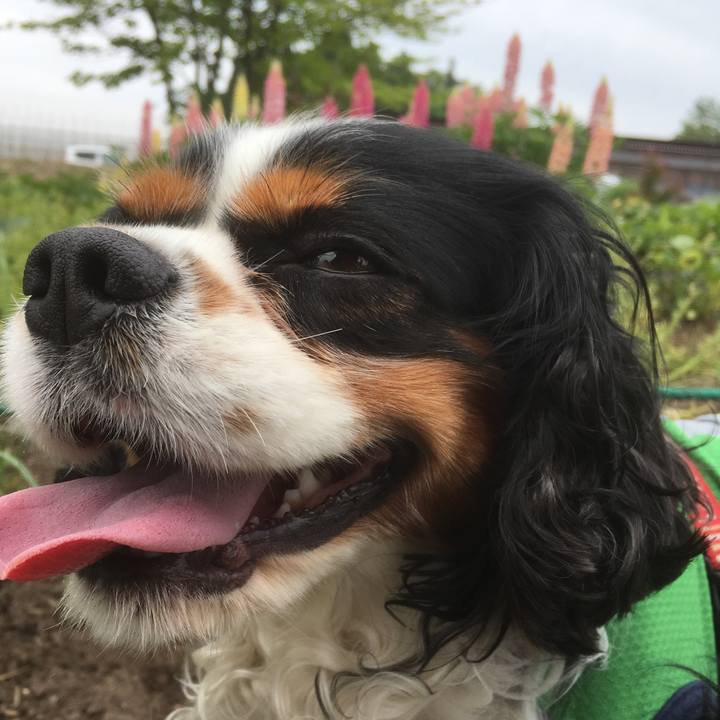 D52ddbd8 31ee 43b6 813a adf639e0e96d