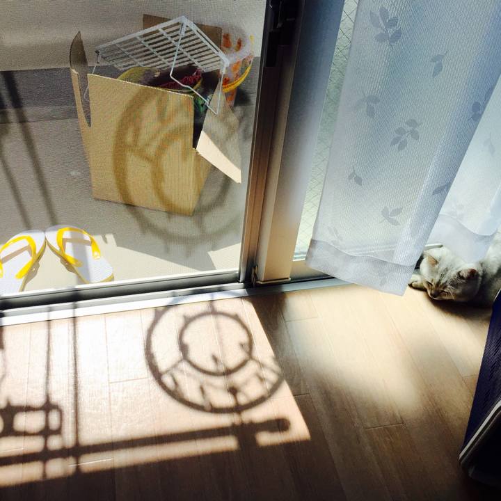 D52edfb7 08da 4bab 9d14 d9ee282b4e9a